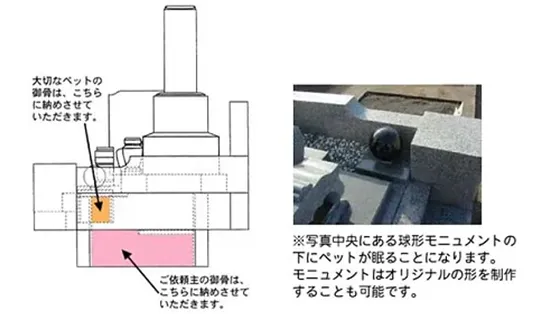 ペット同居型のお墓